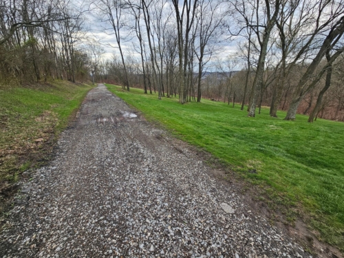 Scenic Build Lot, Wooded Acreage Overlooking the Monongahela River countryside group land and rural home experts