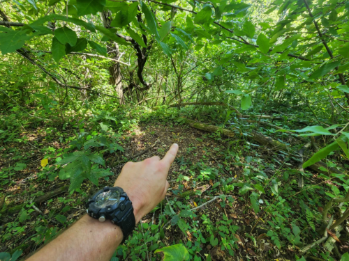 dense-recreational-hunting-prperty-with-potential-camp-or-home-sites-12-deer-bedding-spot